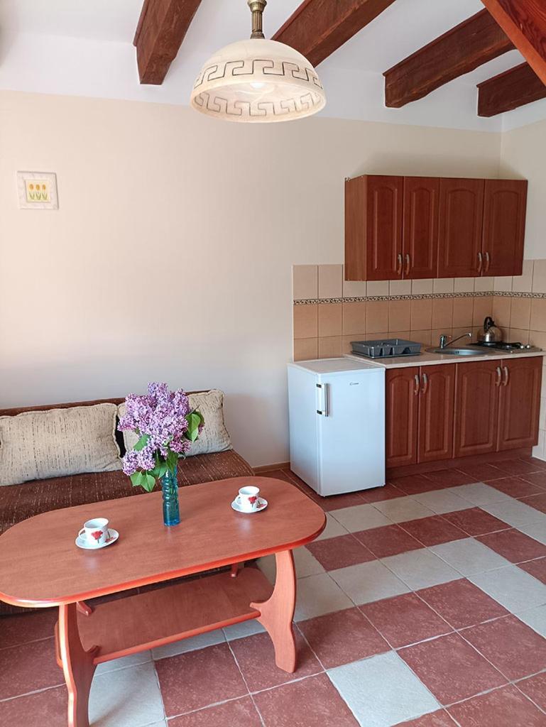 Apartamenty "Anusia" Ledzin 外观 照片