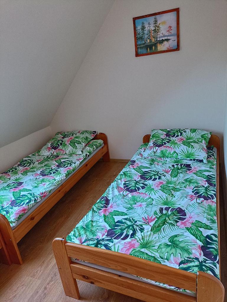 Apartamenty "Anusia" Ledzin 外观 照片