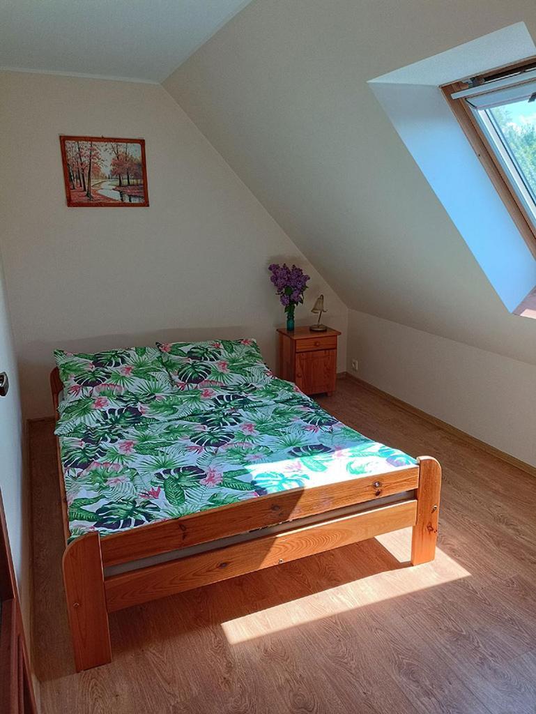 Apartamenty "Anusia" Ledzin 外观 照片