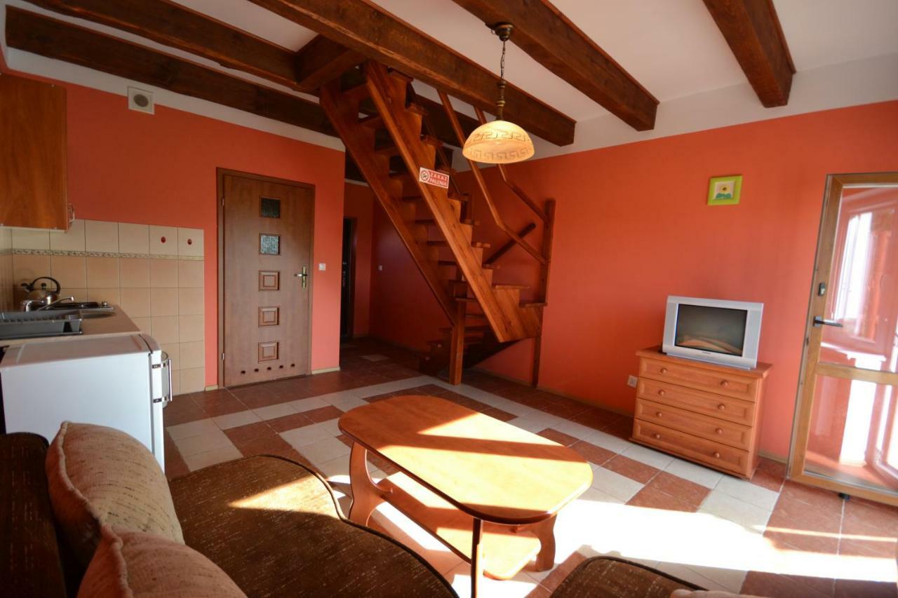 Apartamenty "Anusia" Ledzin 外观 照片